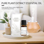12 Aromatherapy Essential Oils