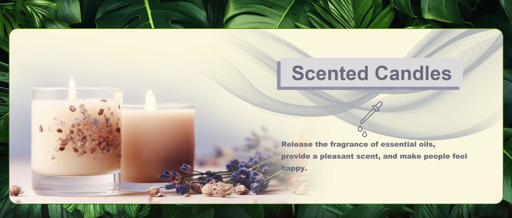 Top Pure Aroma Essential Oils