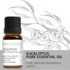 12 Aromatherapy Essential Oils