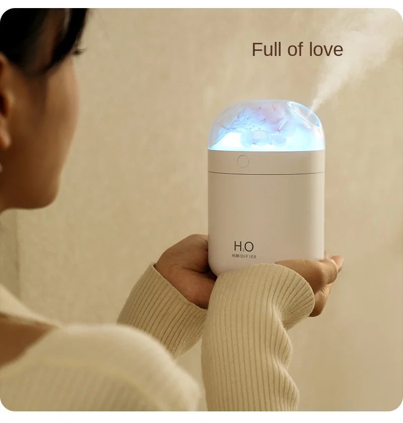 Mini Home Air Humidifier