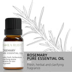 12 Aromatherapy Essential Oils