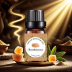 Top Pure Aroma Essential Oils