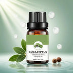 Top Pure Aroma Essential Oils