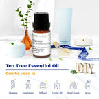 12 Aromatherapy Essential Oils