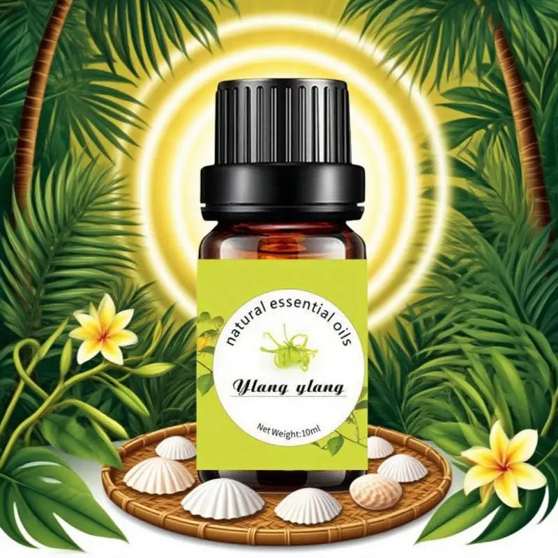 Top Pure Aroma Essential Oils
