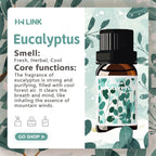 Eucalyptus Massage Essential Oils