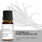 12 Aromatherapy Essential Oils