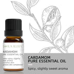 12 Aromatherapy Essential Oils