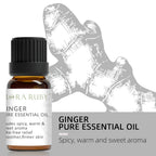 12 Aromatherapy Essential Oils