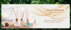 Top Pure Aroma Essential Oils