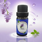 Top Pure Aroma Essential Oils