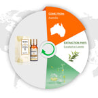Oroaroma Eucalyptus Essential Oil