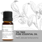 12 Aromatherapy Essential Oils