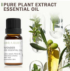 12 Aromatherapy Essential Oils