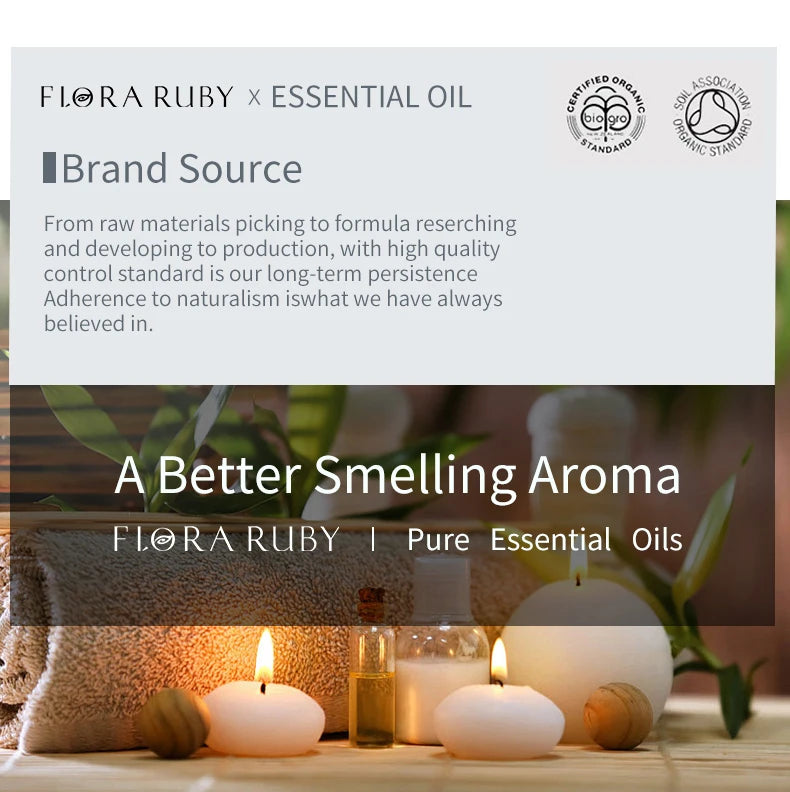 12 Aromatherapy Essential Oils