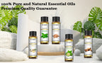EUQEE Massage Essential Oils