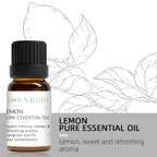 12 Aromatherapy Essential Oils