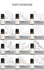 12 Aromatherapy Essential Oils