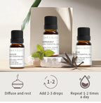 12 Aromatherapy Essential Oils