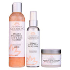 Organic 3 Step Anti-Aging Skin Care Kit